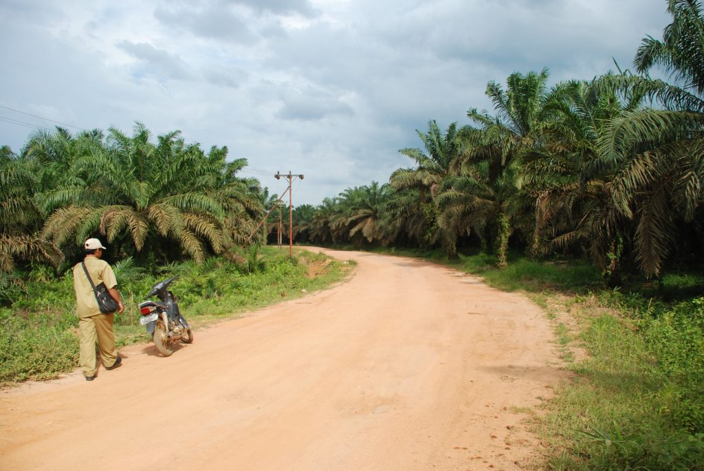 Elektrifikasi di Desa Muara Tangkos. Listrik disediakan oleh pemerintah daerah, bukan perusahaan sawit.
Foto oleh Pujo Semedi