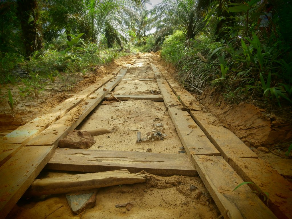 Jalan blok dalam hamparan kebun plasma
Foto oleh Diaz