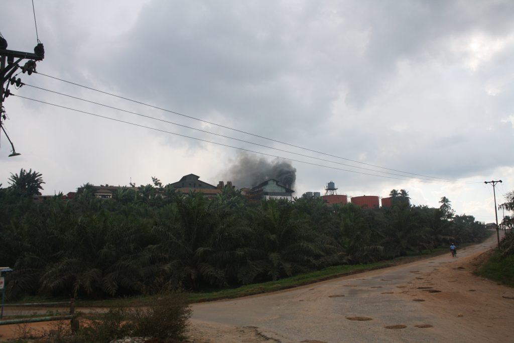 Pabrik pengolah sawit perkebunan negara
Foto oleh Ida Bagus