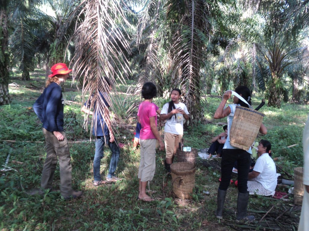 Ikut panen di kebun petani plasma
Foto oleh Arita