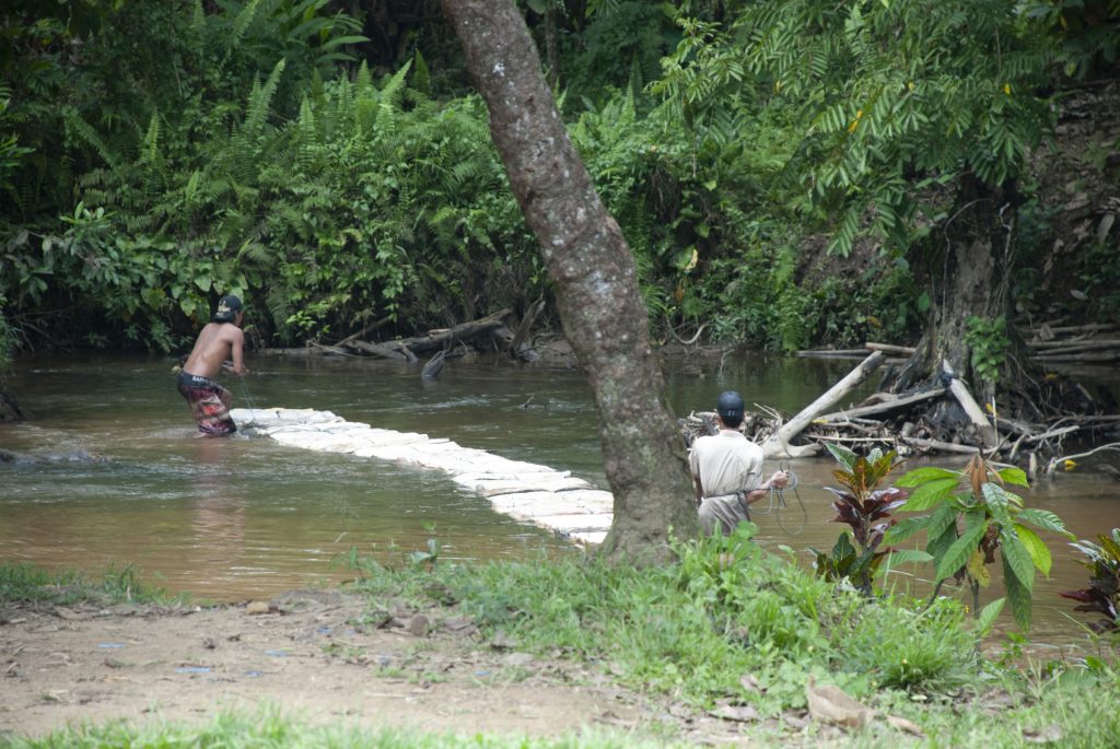 Menghanyut lembaran karet dari kebun ke kampung
Foto oleh Pujo Semedi