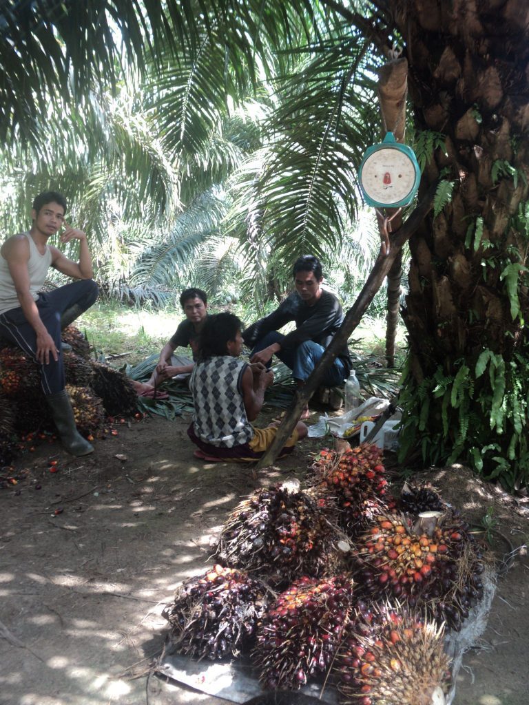 Menimbang hasil panen
Foto oleh Arita