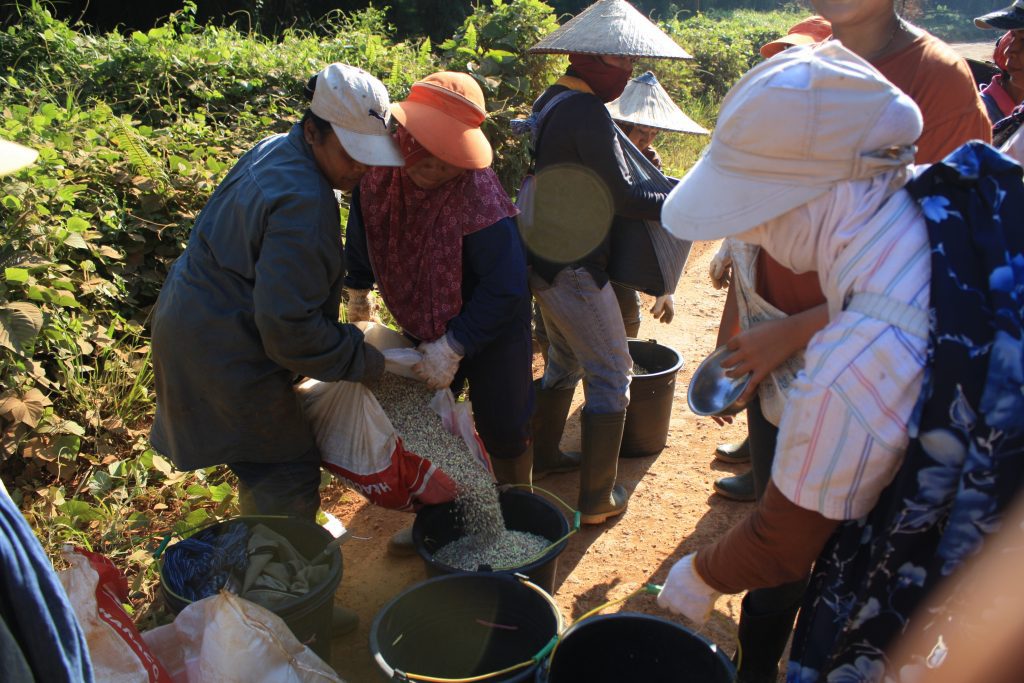 Ibu-ibu pekerja membagi pupuk di kebun inti
Foto oleh Ida Bagus Aditya