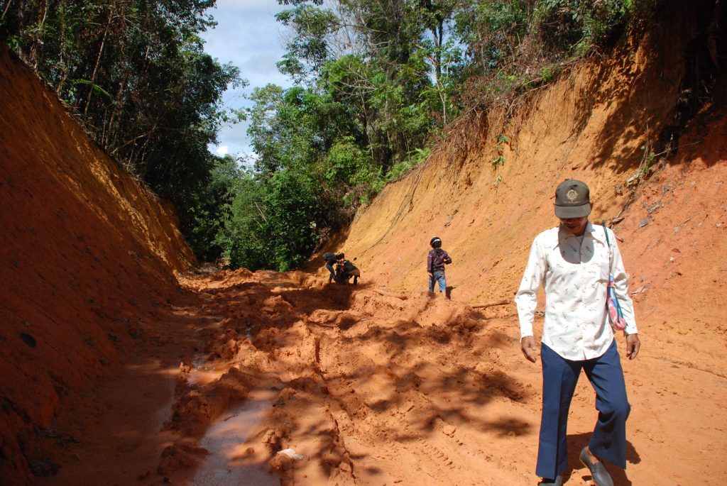 Jalan poros kebun 
Foto oleh Pujo Semedi